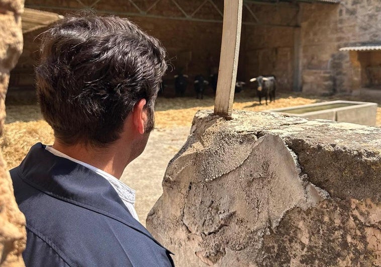 Palma se prepara para el huracán Morante con la vuelta de los menores a los toros Palma se prepara para el huracán Morante con la vuelta de los menores a los toros