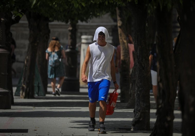 ¿Las olas de calor son como las de siempre o potenciadas por el cambio climático? Esta IA te lo calcula ¿Las olas de calor son como las de siempre o potenciadas por el cambio climático? Esta IA te lo calcula