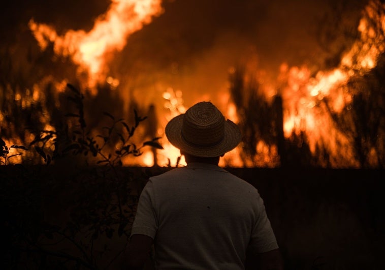 La presión sobre los incendiarios crece: una decena de detenidos y un encarcelado en Galicia La presión sobre los incendiarios crece: una decena de detenidos y un encarcelado en Galicia
