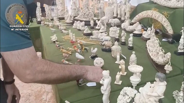 Golpe al tráfico de marfil en Valencia: intervienen 127 piezas de elefantes asiáticos y africanos Golpe al tráfico de marfil en Valencia: intervienen 127 piezas de elefantes asiáticos y africanos